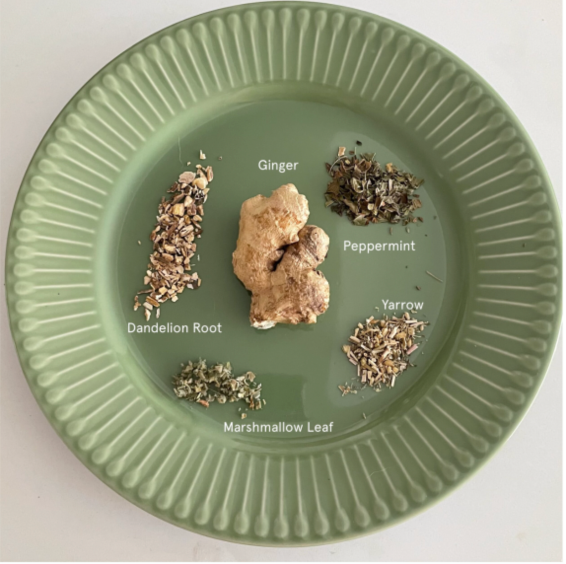 Herbs for Digestion: Allies for Gut Health