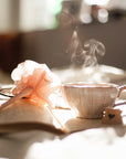 Intro to Herbalism Classes: 2 Pack Discount