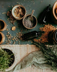 Intro to Herbalism Classes: 2 Pack Discount