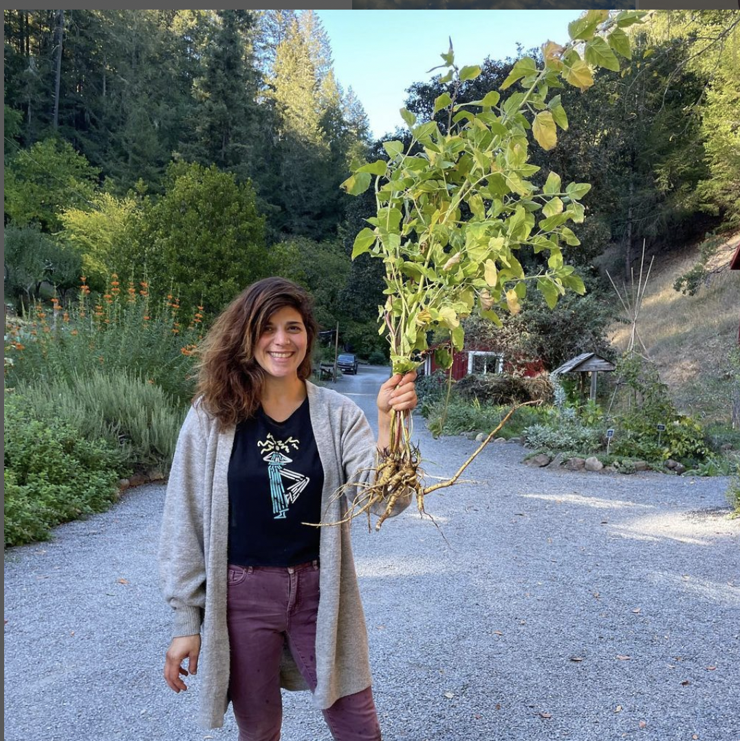 November 16th, Root In & Heal: Healing Roots + DIY Tincture Workshop