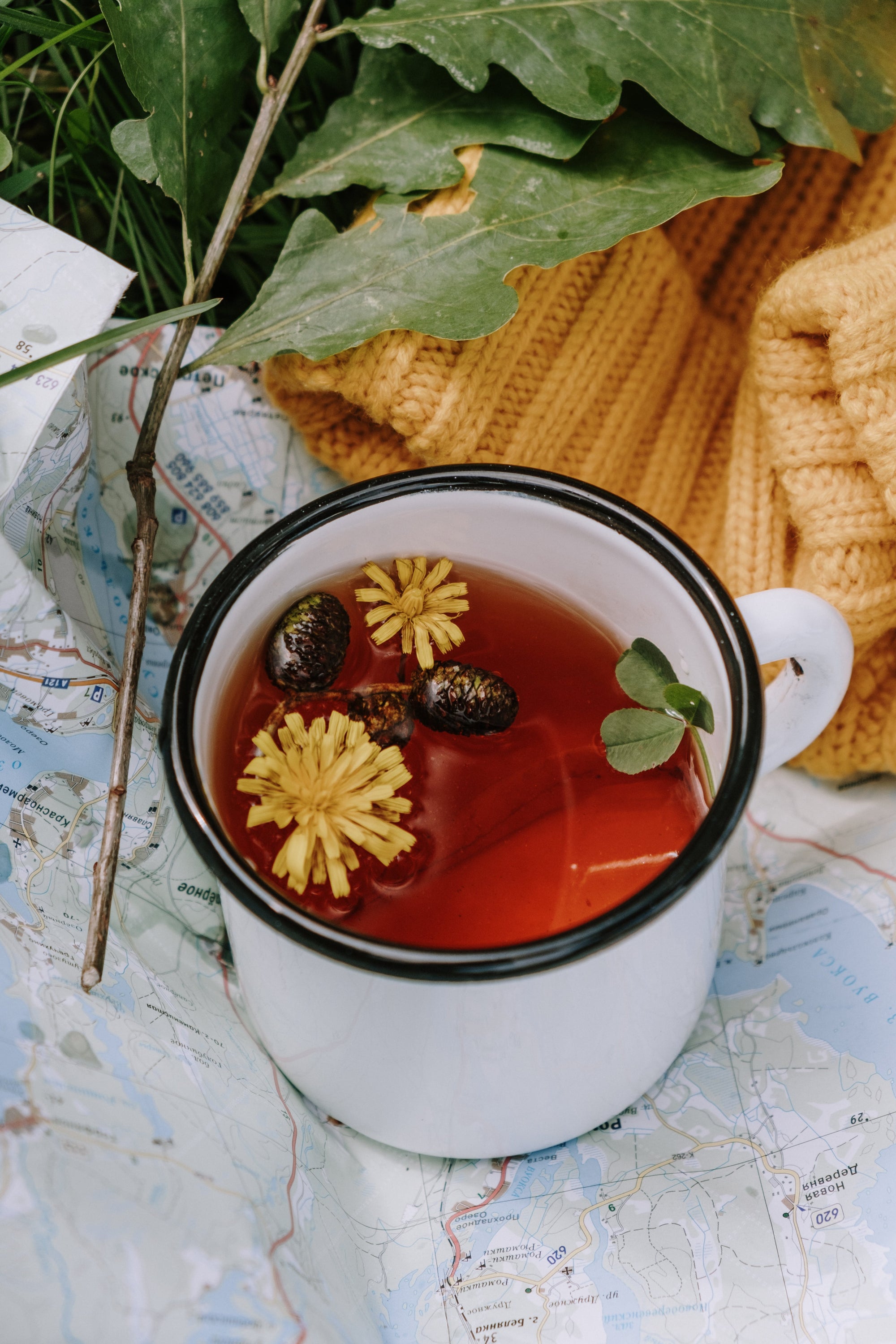 November 16th, Root In & Heal: Healing Roots + DIY Tincture Workshop