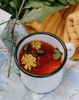 June 18: Medicinal Plant Walk + EcoArt Therapy
