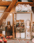 Intro to Herbalism Classes: 2 Pack Discount