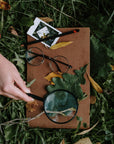June 18: Medicinal Plant Walk + EcoArt Therapy