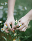 June 18: Medicinal Plant Walk + EcoArt Therapy