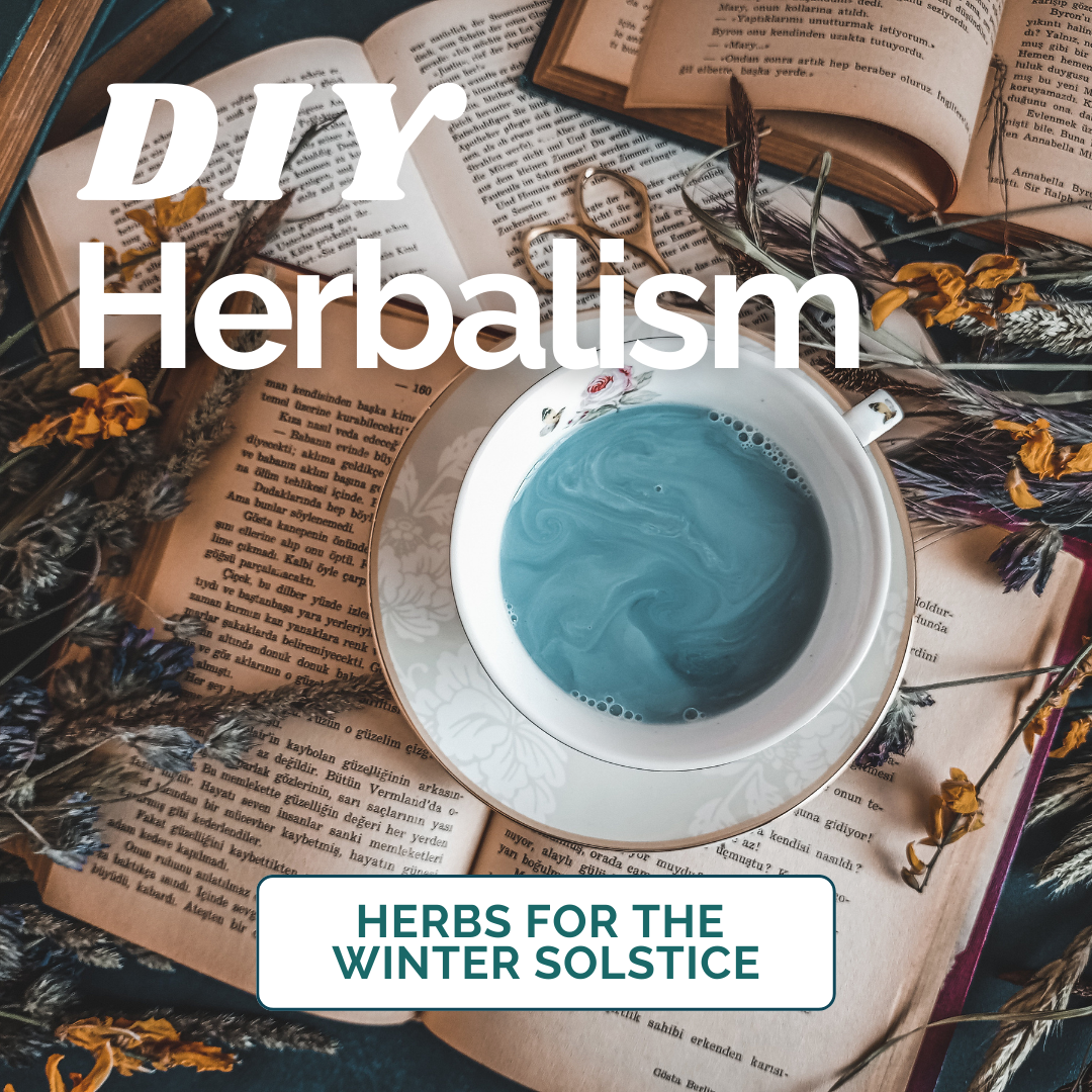 DIY Herbalism Herbs for the Winter Solstice
