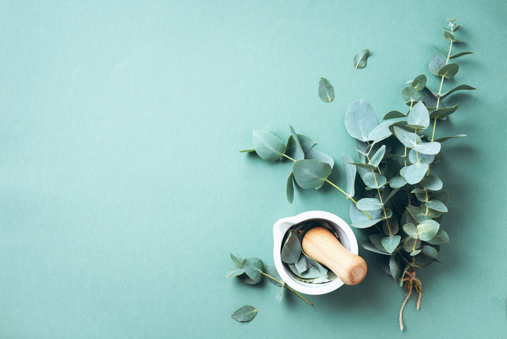 Nurture herbs with mortar and pestle
