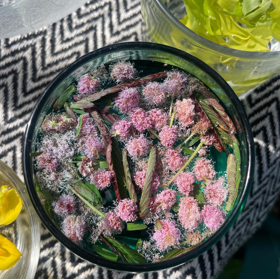 Flower Essence Therapy Session