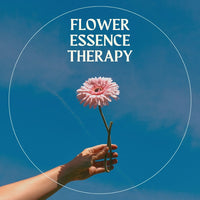 Flower Essence Therapy Session